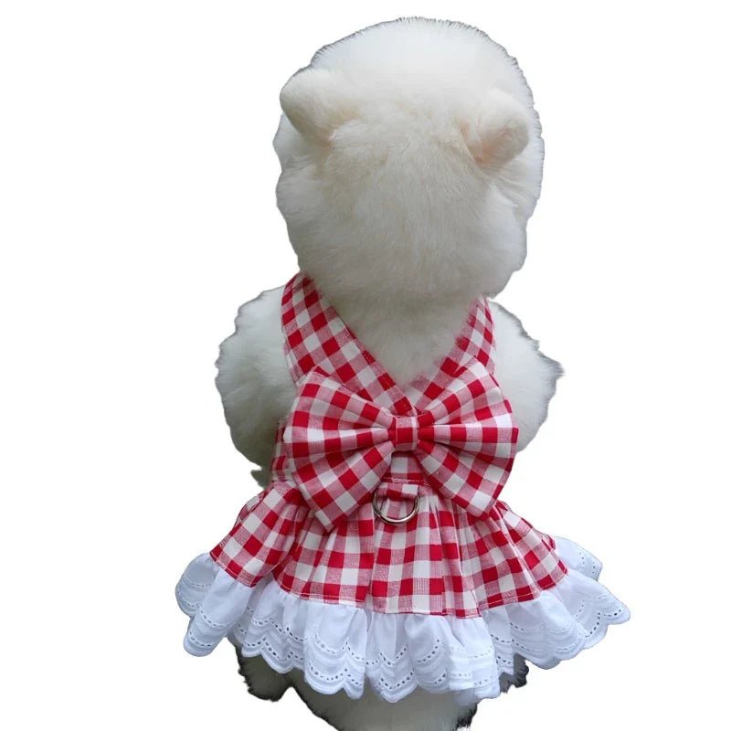 48235279483073|48235279515841|48235279548609|48235279581377|48235279614145