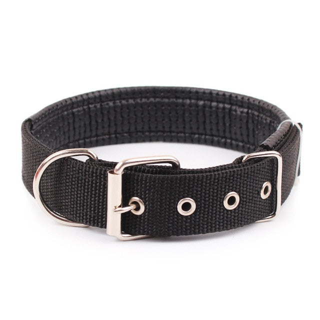Adjustable dog collar