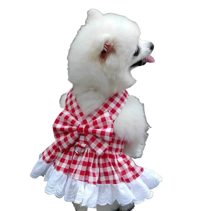 Pet  Dress